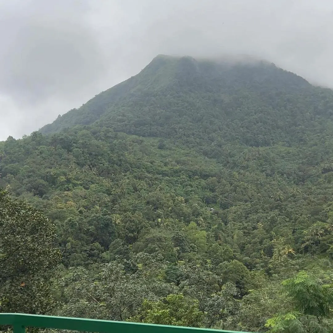 Royal Mount Inn Resorts Paithalmala Indie